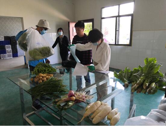 荆门市菜篮子基地和农贸市场接受省农业农村厅农产品质量安全监测